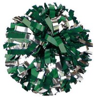 Dublin Scioto Cheer (@dshscheer) 's Twitter Profile