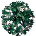Dublin Scioto Cheer (@dshscheer) Twitter profile photo