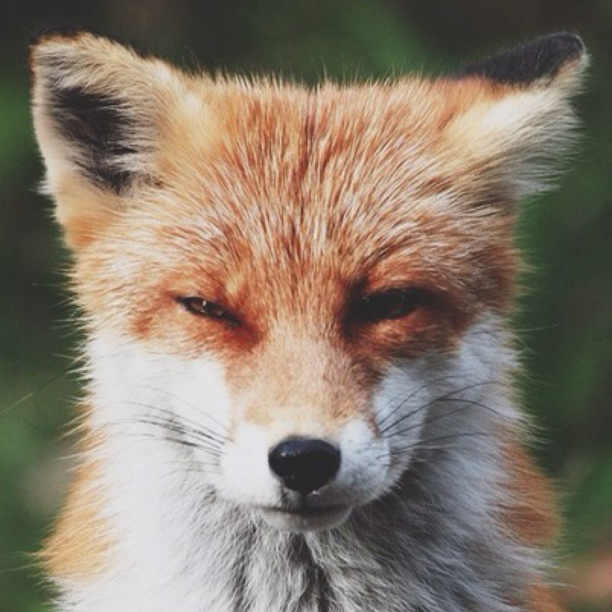 NNKMRn's profile picture. A la guerre comme à la guerre.