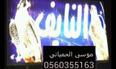 ‏مربط النايف لتقييض وبيع وشراء الصقور 0560355163
الاستقرام
https://t.co/gDNLY4AHzu