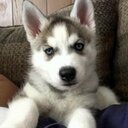 pablo luis - @Demonlor - Twitter