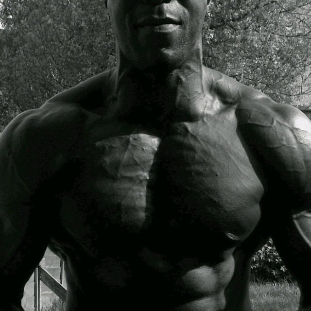 Bodybuilding & music fanatic. Ex basketball & American football player. Aerospace engineer by day.