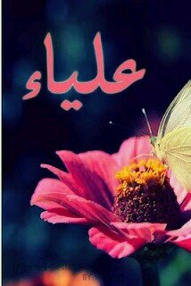 ♥‏لأني أحببتك ولأني أريد مثواك الجنه فعلت هذا الحساب ♥لأجلك علياء♥ ف يارب آطل بعمرها ولا تتوفاها إلا وأنت راضي عنها ♥ادعموني بالرتويت لتغريداتي ♥