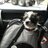 MerleDoughten's profile image