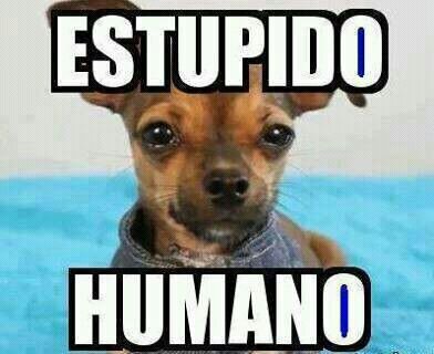 JRavaglia's profile picture. 