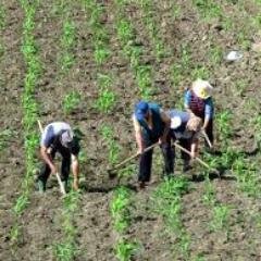 itsAggieTime's profile picture. 