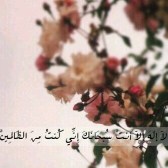 toofy443's profile picture. ♥