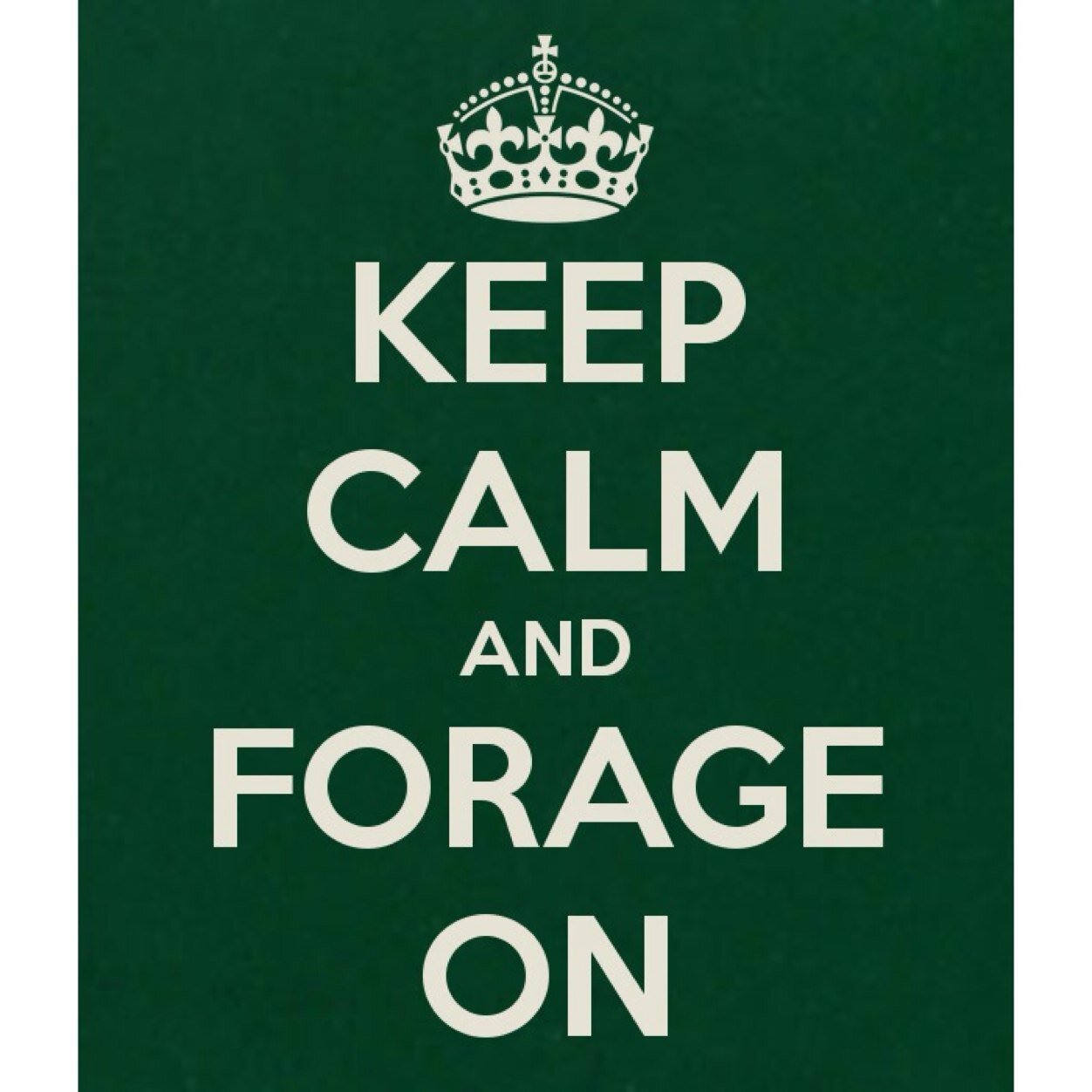 foraging is fun