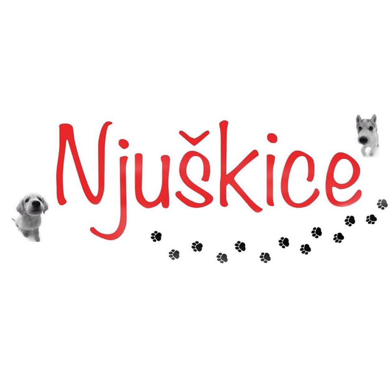 njuskice's profile picture. Here, everything is about dogs :)