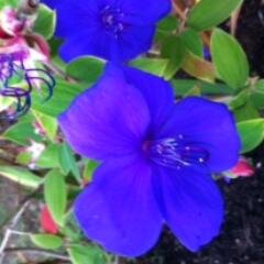 Minana_APG's profile picture. haut fonctionnaire, citoyenne engagée