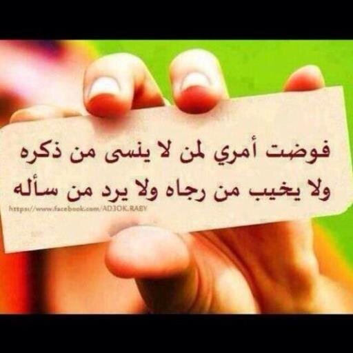 (اللهم ادخلني مدخل صدق وأخرجني مخرج صدق واجعل لي من لدنك سلطان نصيرا)
متفائله ومقبله على الحياة بكل ثقة لأن ربي الله