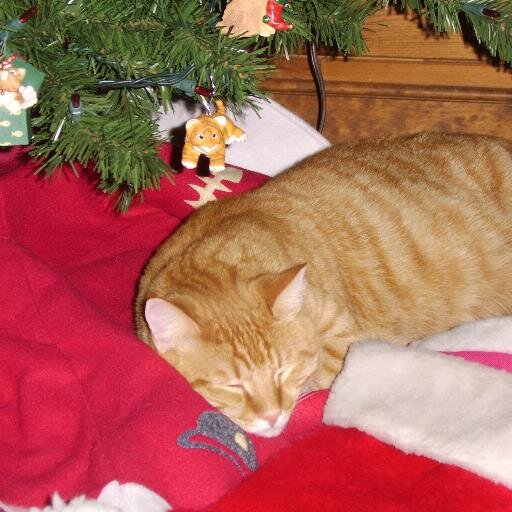 mhuyoung1's profile picture. Loves to travel, spend tme with family, and life