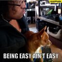 Glenn Antolin - @UCGeeinuse - Twitter