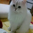 박연승 (@597qkr) Twitter