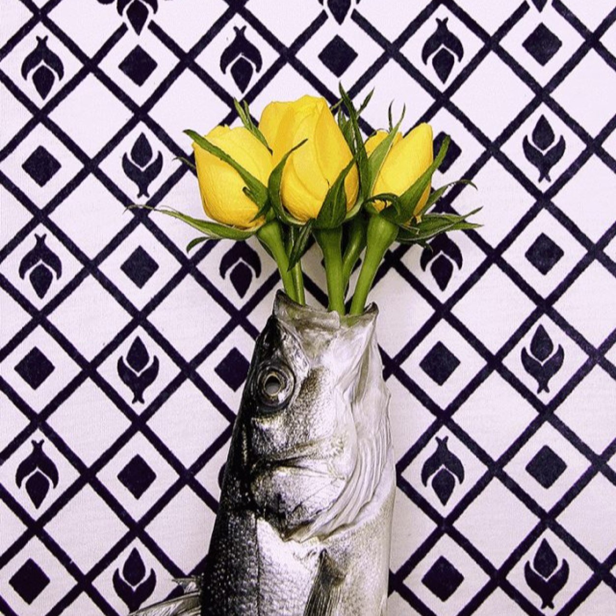 Lillyannee's profile picture. escribo las palabras de los demás