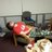 robmac1220's profile image
