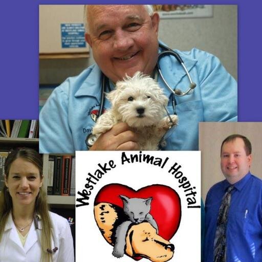 WestlakeAHvet's profile picture. Where LOVE is part of the treatment!