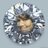 GRACIALETAL's profile image