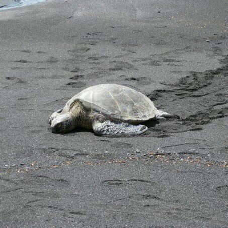 KoesterZR's profile picture. Fan of nascar, wife of @koesterzach rear carrier. Fan of all motorsports and lover of all things furry