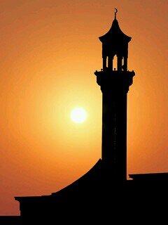 AmgadKhairy96's profile picture. 