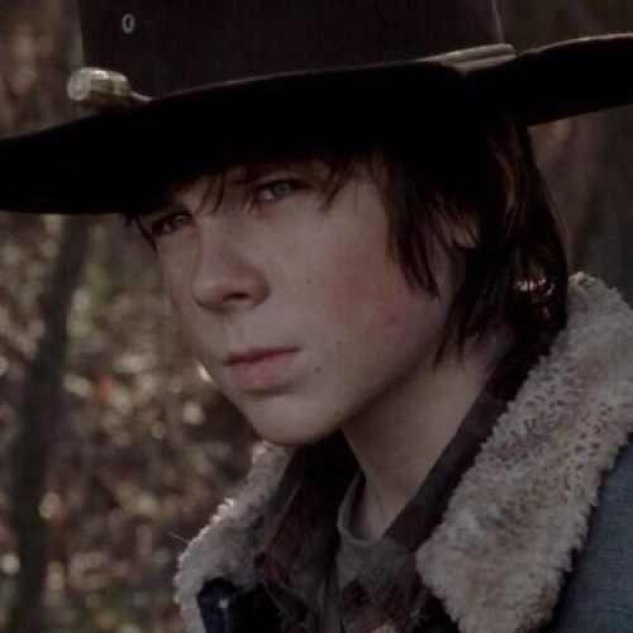 Carl Grimes (@HauntedGrimes) | Twitter