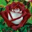 m_brisca's profile image