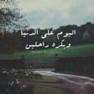 ‏ومما يثقل الميزان: سبحان الله وبحمده سبحان الله العظيم.