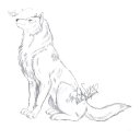 Chris Warman - @lunamoon61 - Twitter