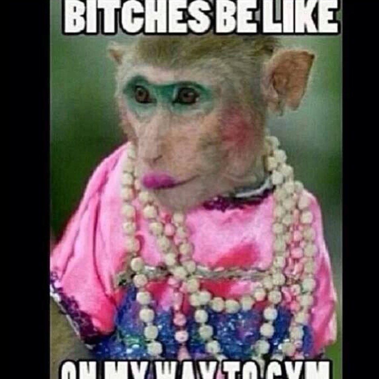 lindawhatever's profile picture. I love my footy and a good pint of cider.