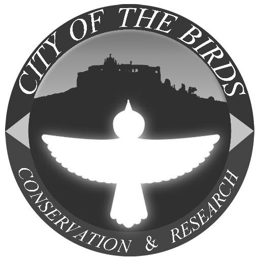 City of the Birds Blog