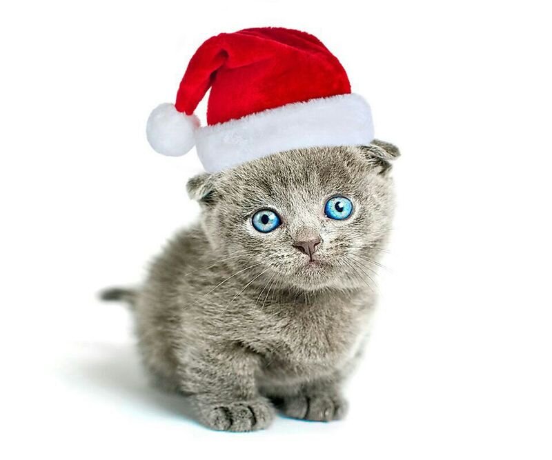 TyuiLuna's profile picture. i'am more famous:-)