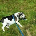 Eileen McKenzie - @EileenMcKenzi11 - Twitter