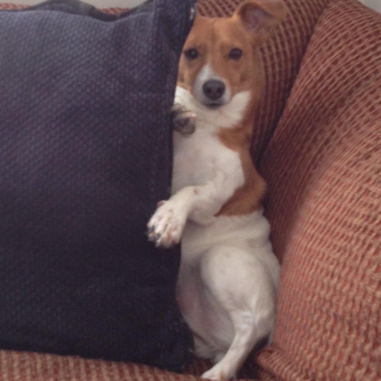 BritBurk07's profile picture. 