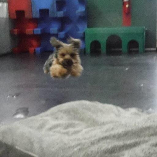 JburkeJen's profile picture. 