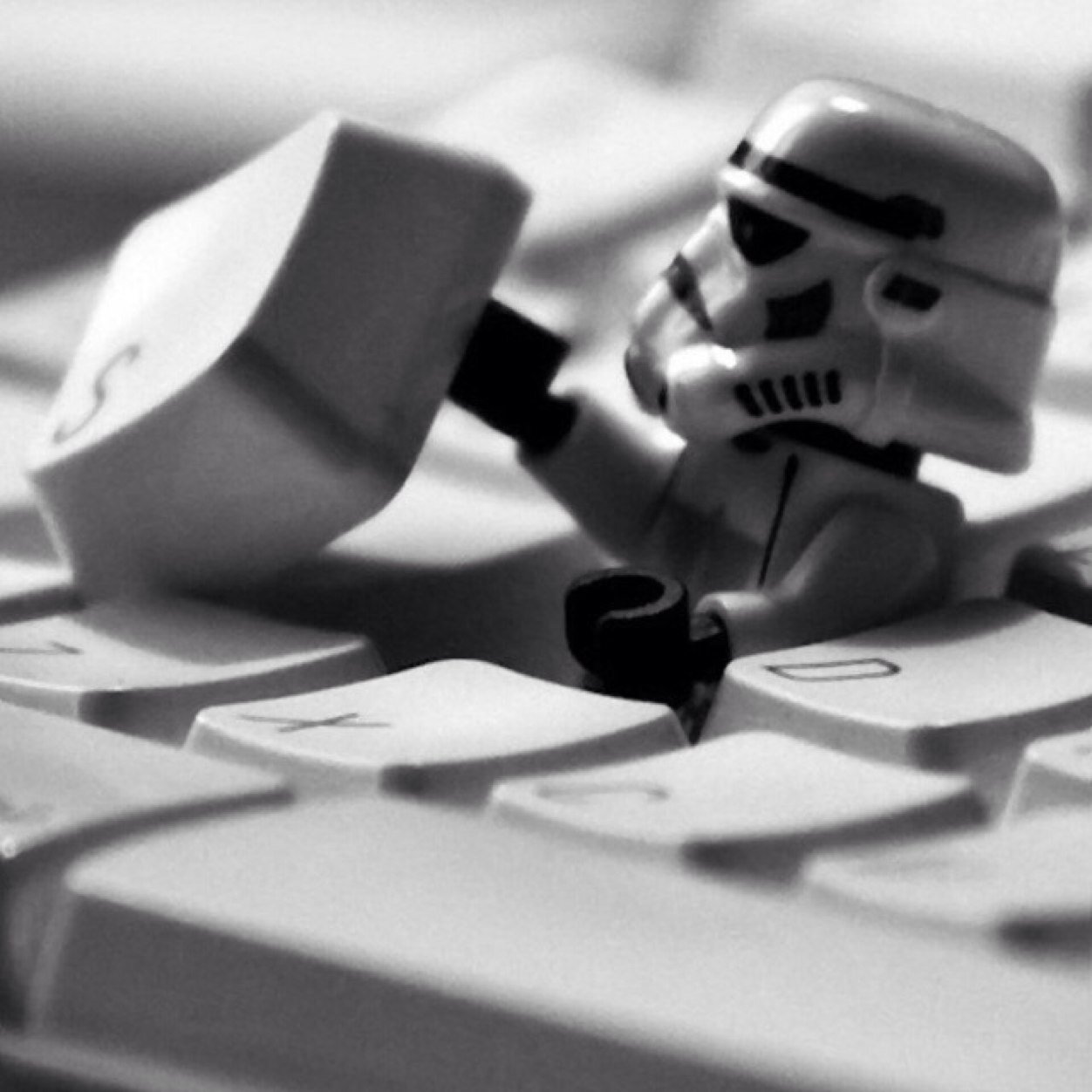 bonnet_marvin's profile picture. 