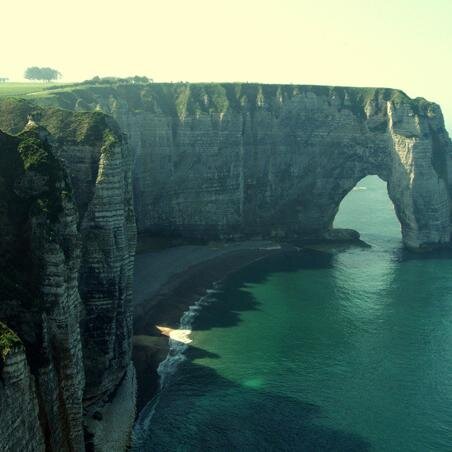 DesireeX9msx's profile picture. 