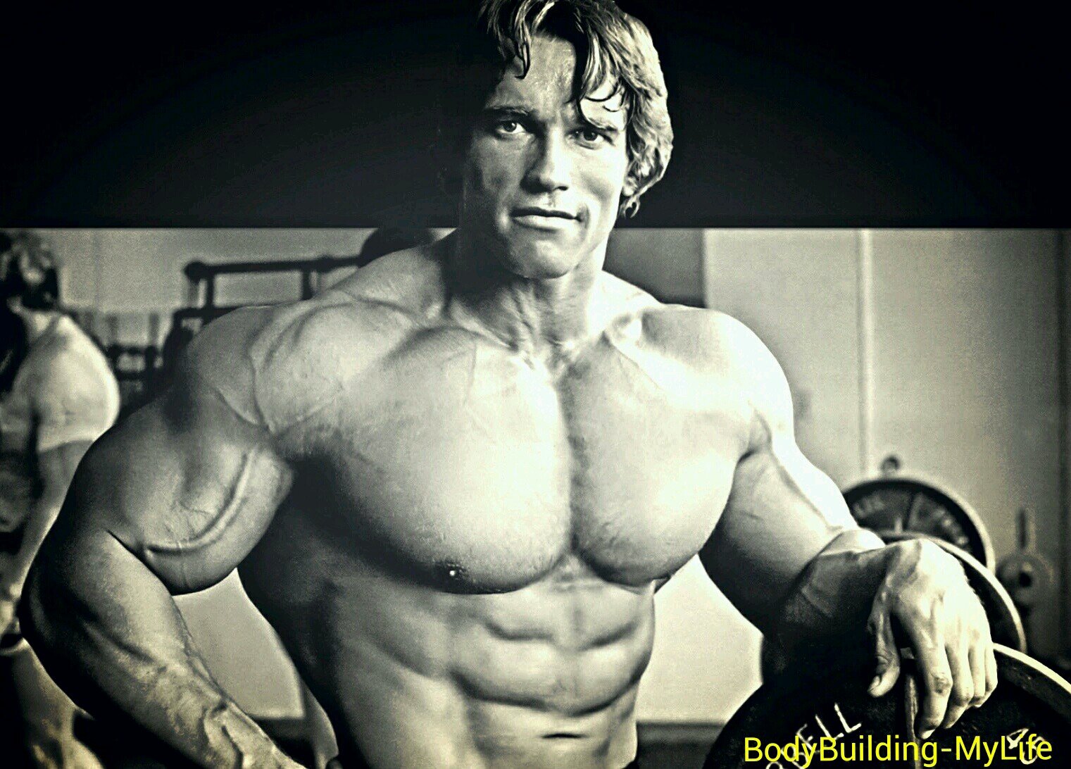 Never give up. Insist with determination.-Arnold S.-