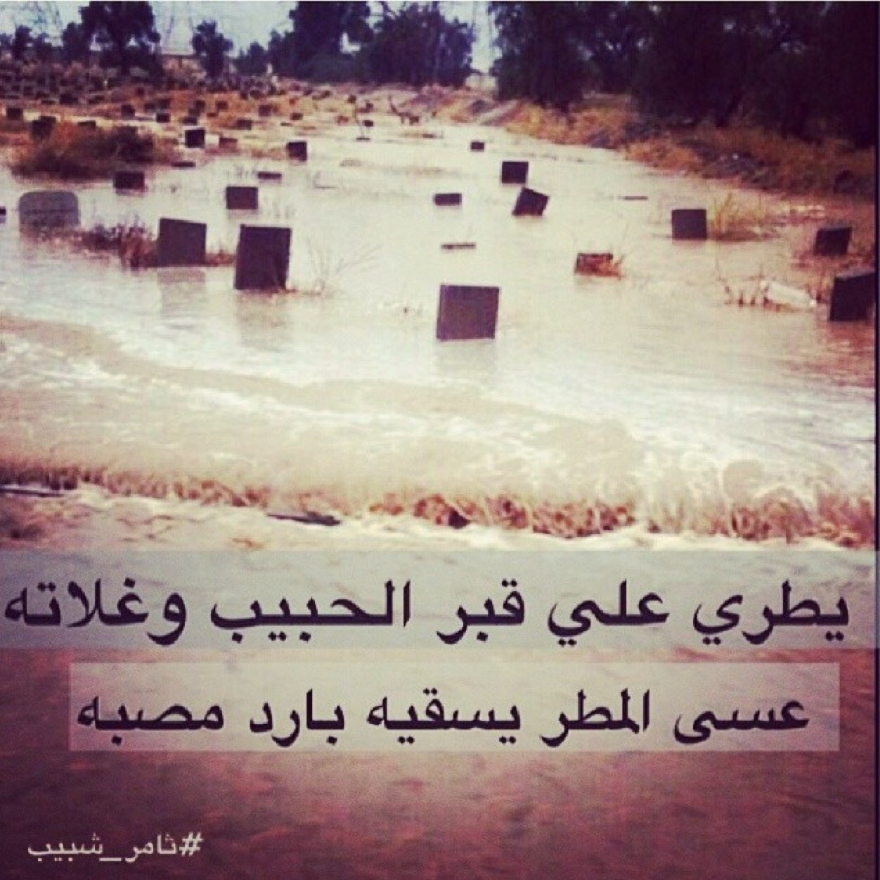 @Dosari25