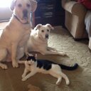 Stacey Boles - @StaceyBoles1 - Twitter