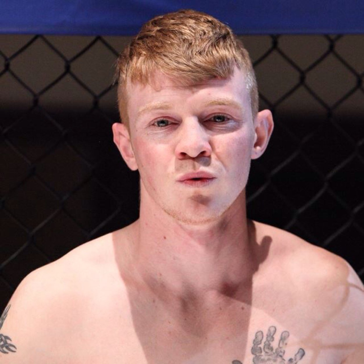 24 year MMA figter from midlands, UK. Doghouse gym #teamdoghouse #teamMMA4LIFE Ambassador for aftamass http://t.co/tVroXRlke4