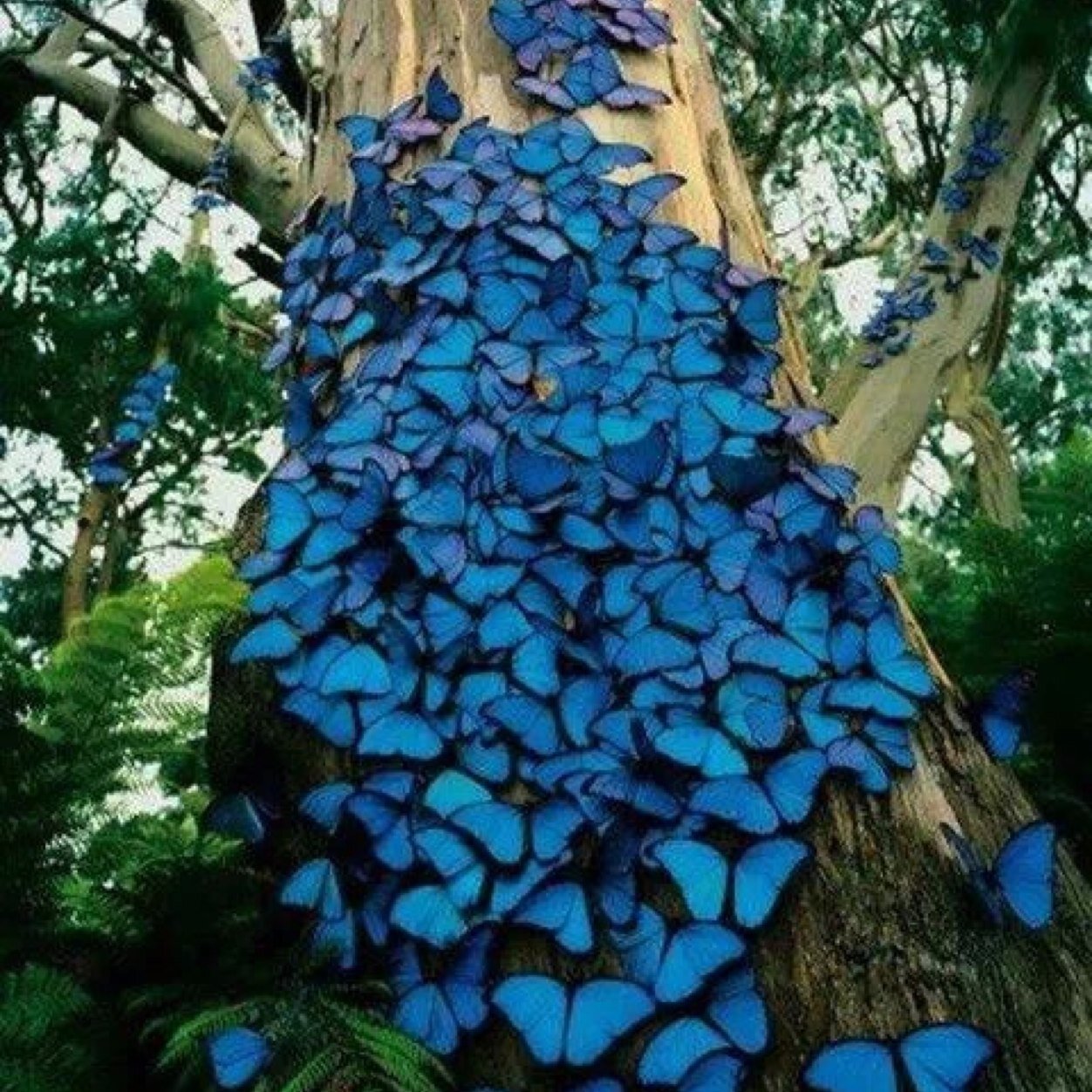 omahadaisy's profile picture. Hopeful romantic mostly livin' on the bright side of life believing we all have the potential to love, create, empower, support & inspire