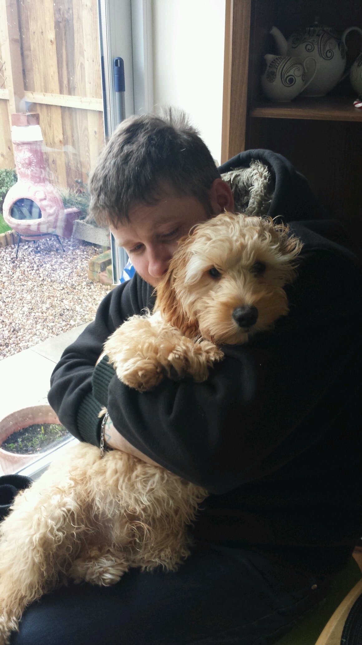 Woodys_roundup's profile picture. Woody Woodstock James Parkinson Esquire. Cockapoo extraordinaire. ...