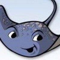 Central Elementary (@cestingrays) 's Twitter Profile