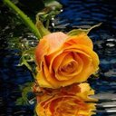 aborkan (@0555321879) Twitter