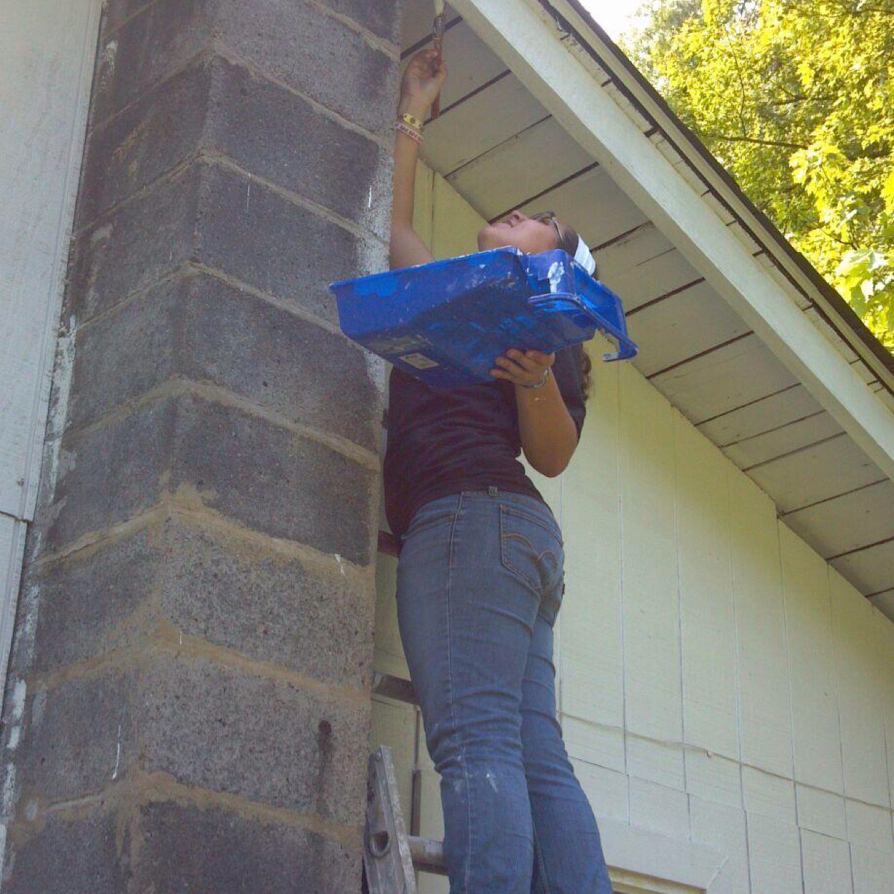 LShep313's profile picture. 