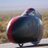 Bike4T7's profile image