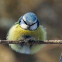 marijke (@58marij) Twitter