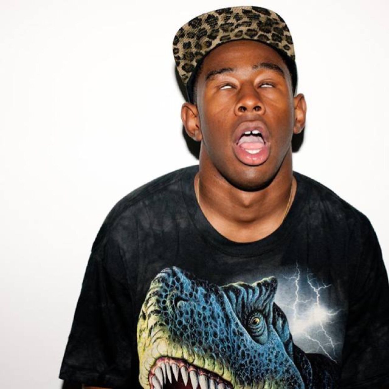 UnpetitPanda's profile picture. 