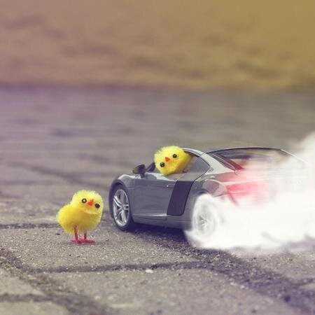 An account for #Cars, Articles, Blogs, Memes, News, Pictures, Links, Ferrari, Porsche, Lamborghini, BMW, 
Mercedes, Bugatti, General Motors, things car related