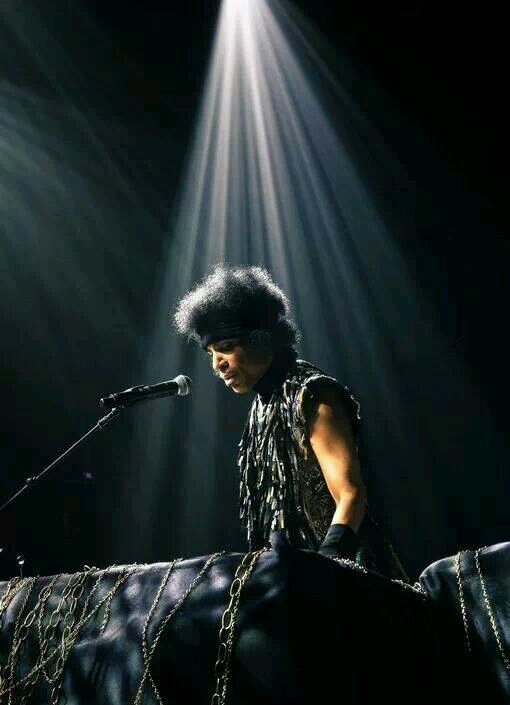 purplejerome's profile picture. 